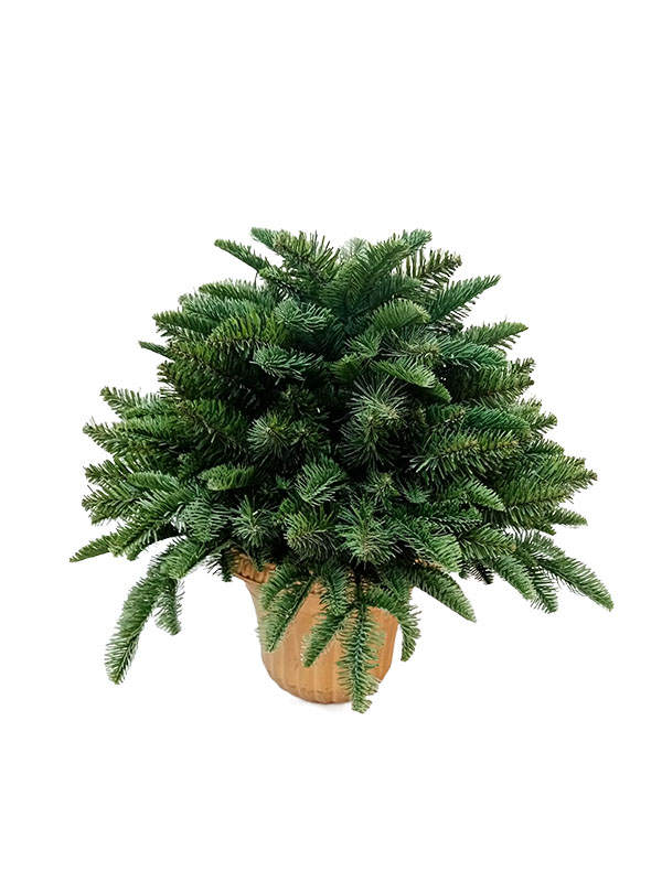 Cây thông Noel trên bàn