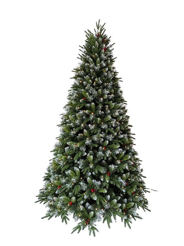 Cây thông Noel-PESW210002