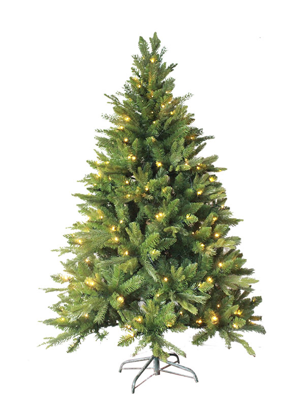 Cây thông Noel-PE180085