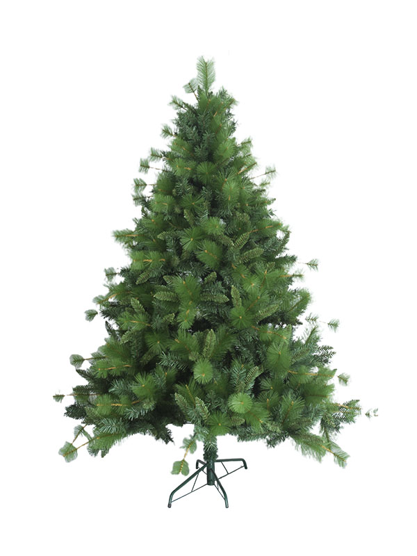 Cây thông Noel-MP120058
