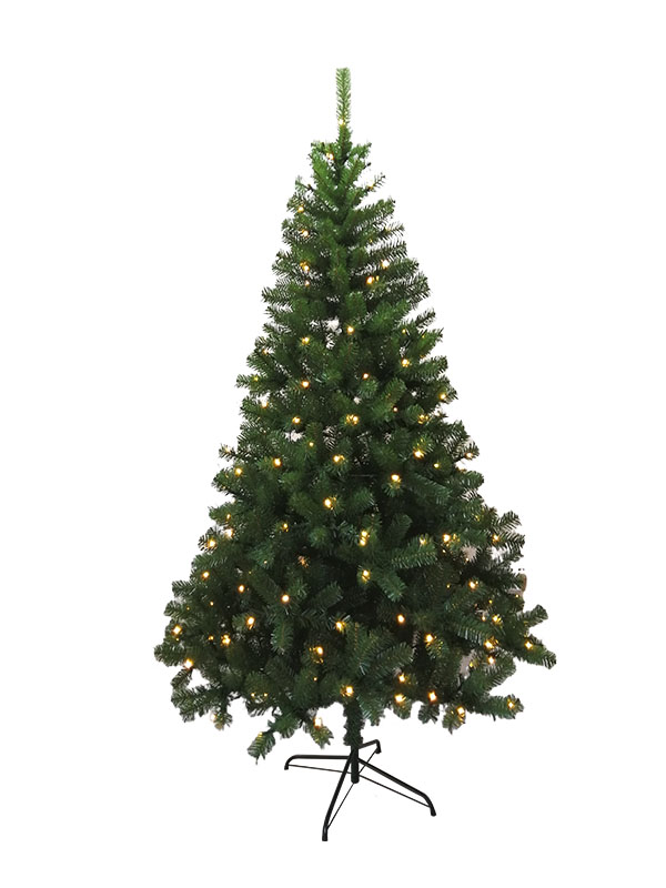 Cây thông Noel-PROTREE