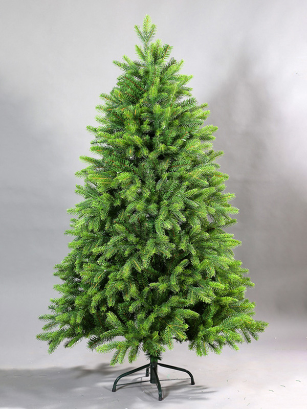 Cây thông Noel thông thường 9A3A8664