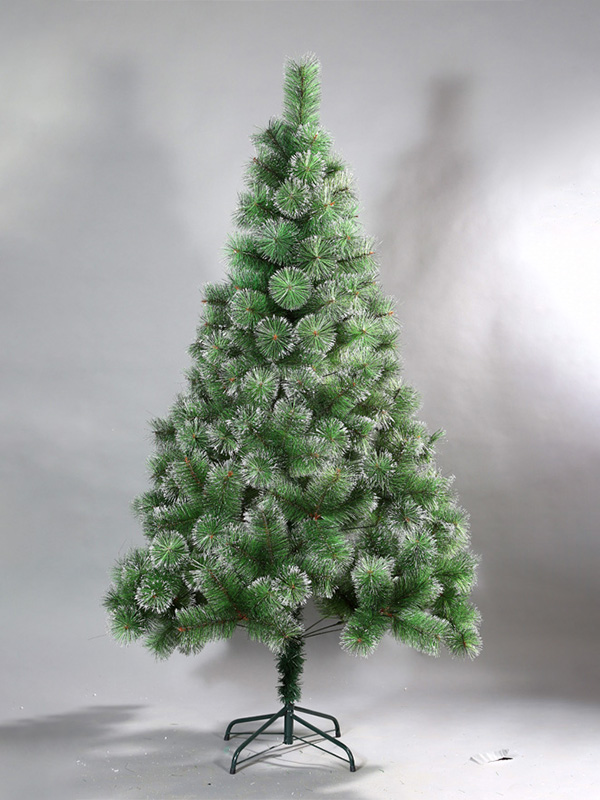 Cây thông Noel thông thường 9A3A8680