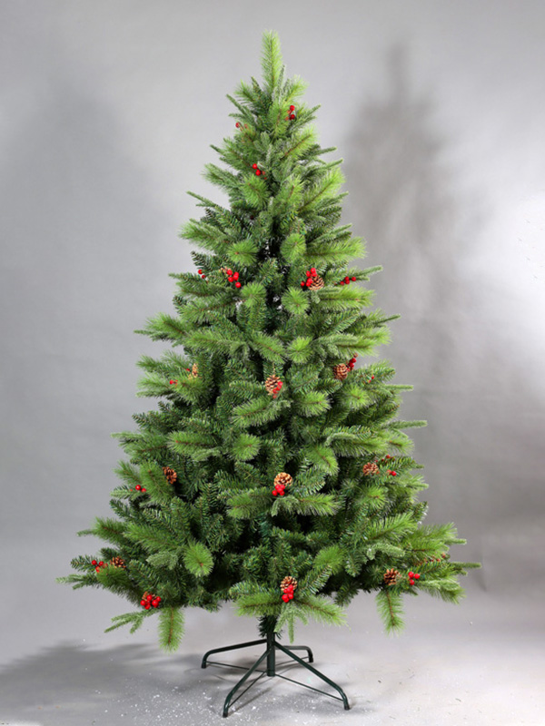 Cây thông Noel thông thường 9A3A8689