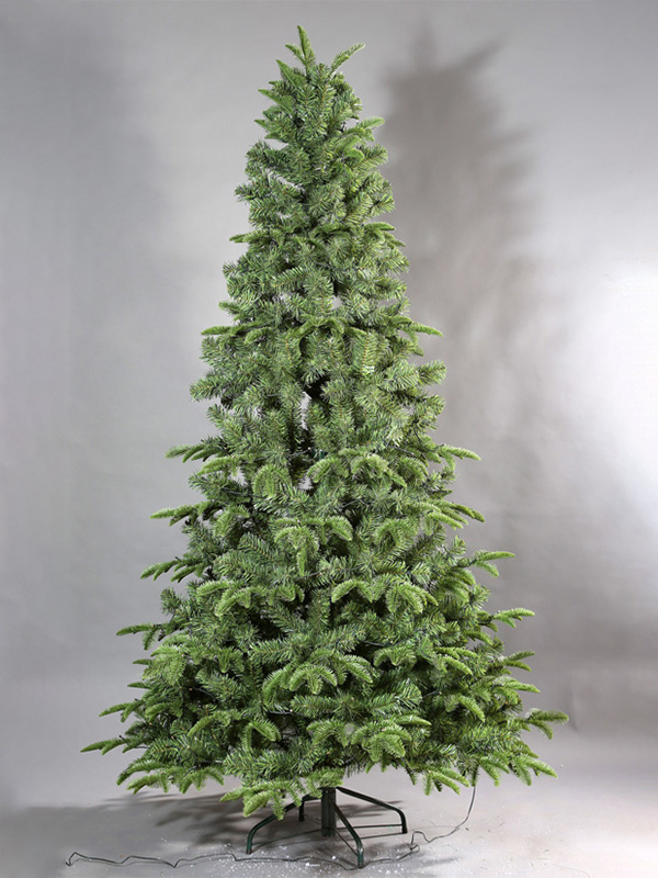 Cây thông Noel thông thường 9A3A8694