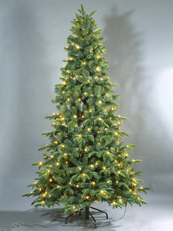 Cây thông Noel thông thường 9A3A8696