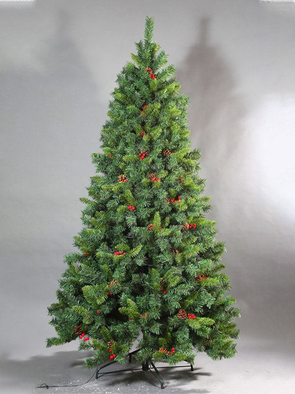 Cây thông Noel thông thường 9A3A8701