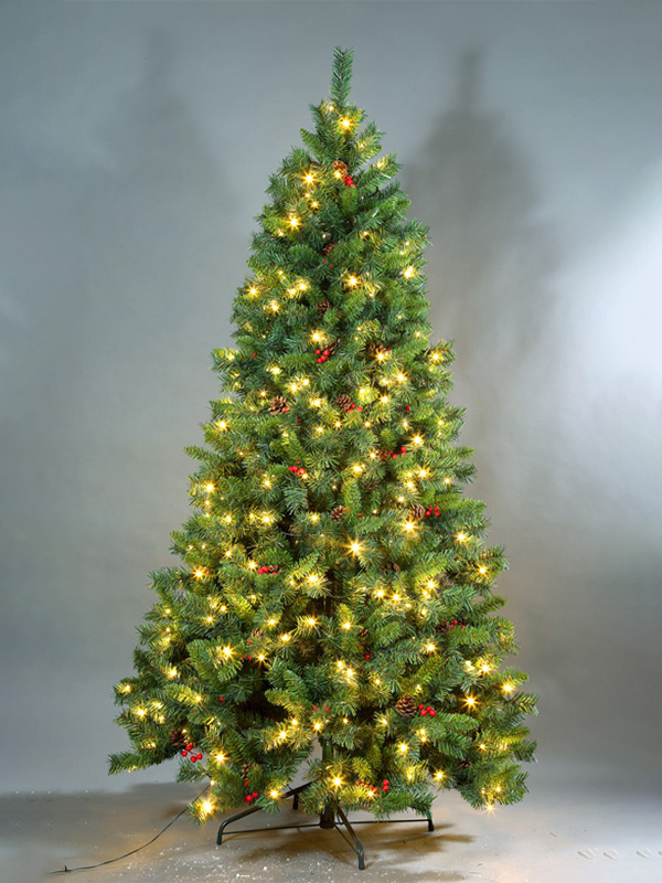 Cây thông Noel thông thường 9A3A8706