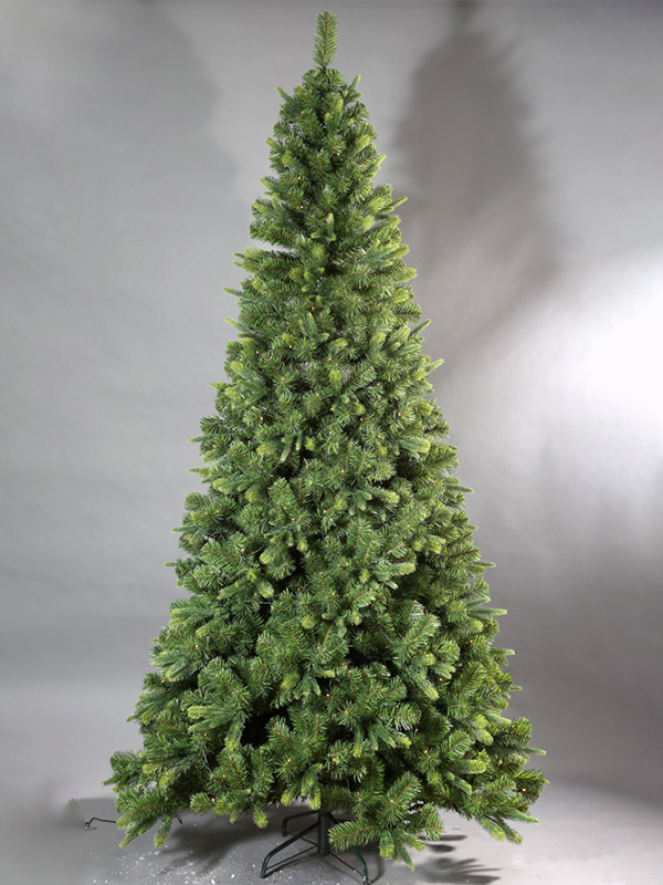 Cây thông Noel thông thường 9A3A8712