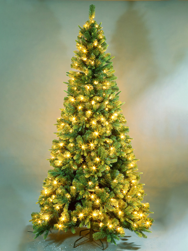 Cây thông Noel thông thường 9A3A8713
