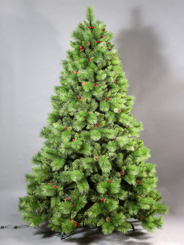 Cây thông Noel thông thường 9A3A8725