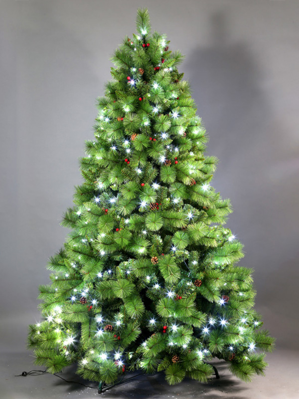 Cây thông Noel thông thường 9A3A8728