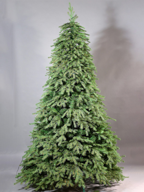 Cây thông Noel thông thường 9A3A8732