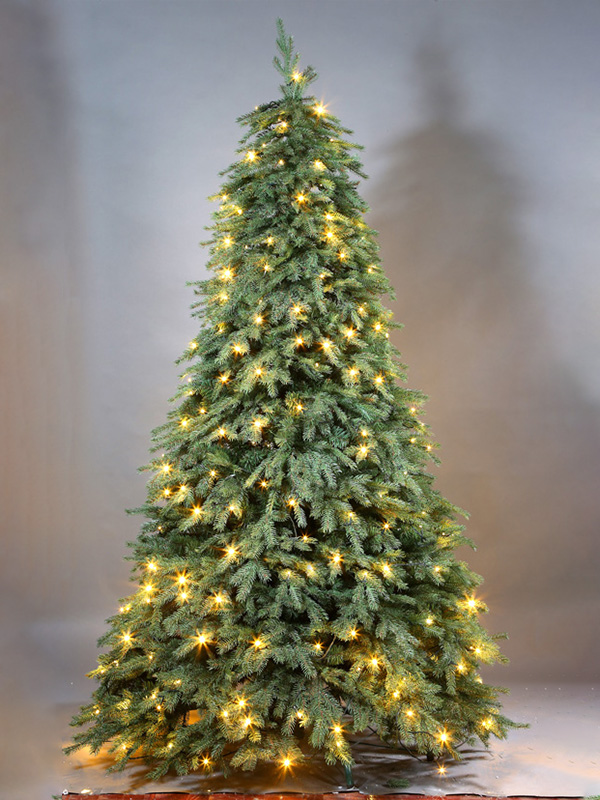 Cây thông Noel thông thường 9A3A8734