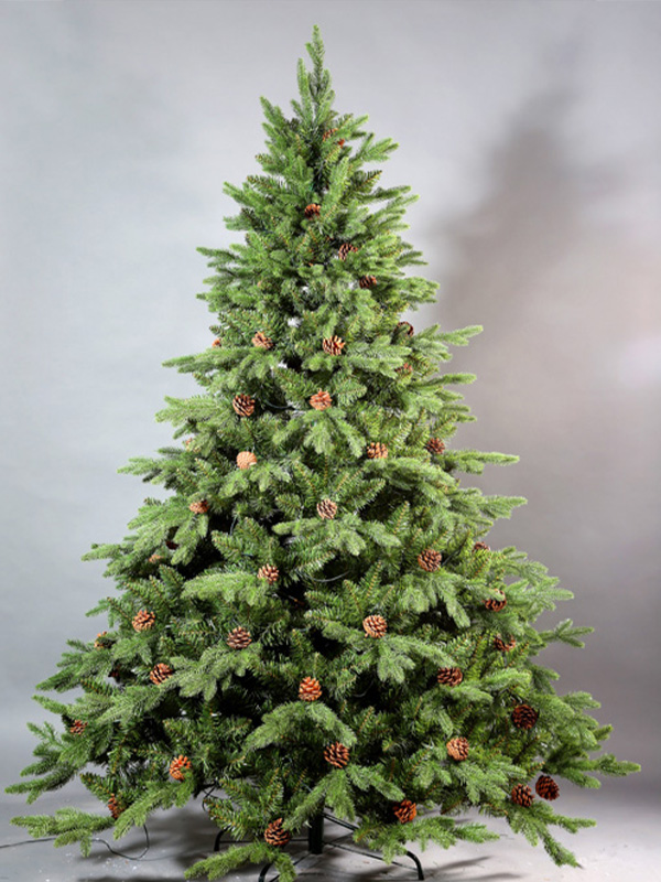 Cây thông Noel thông thường 9A3A8744