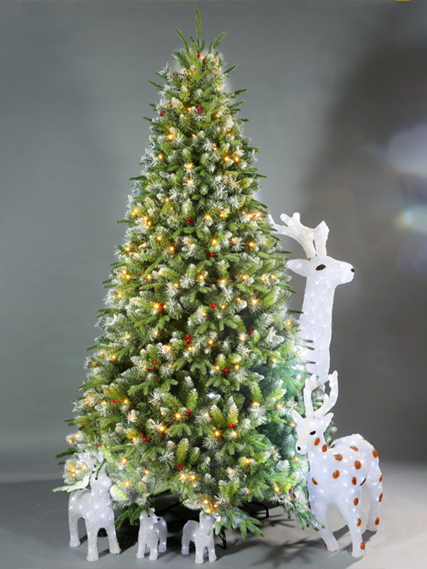 Cây thông Noel thông thường 9A3A8754