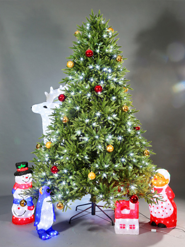 Cây thông Noel thông thường 9A3A8758