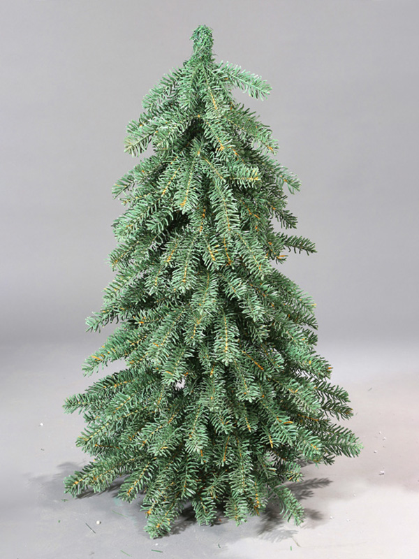 Cây thông Noel thông thường 9A3A8795