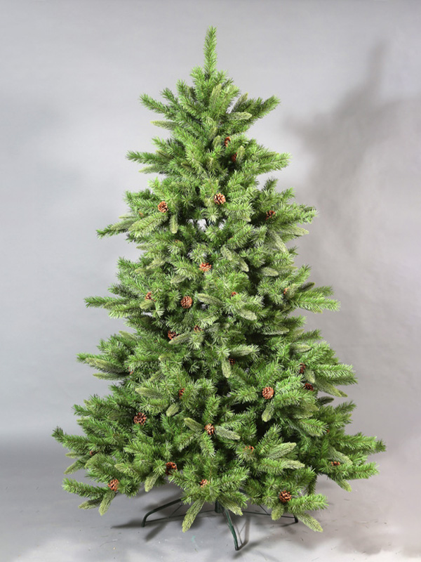 Cây thông Noel thông thường 9A3A8853