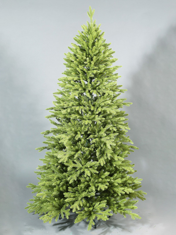 Cây thông Noel thông thường 9A3A8856