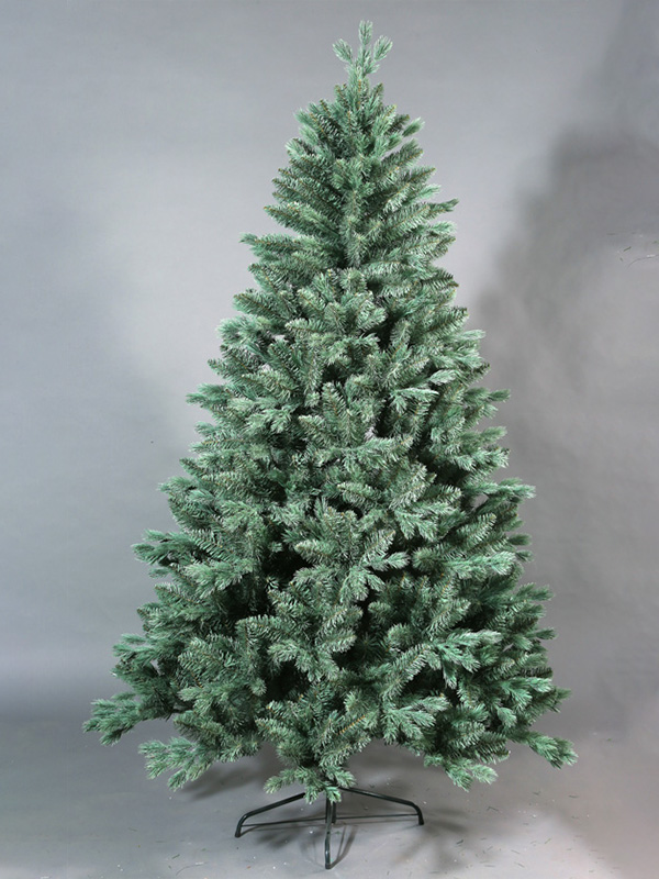 Cây thông Noel thông thường 9A3A8858