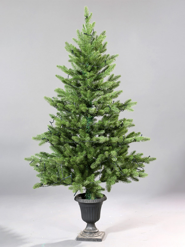 Cây thông Noel chậu 9A3A8774