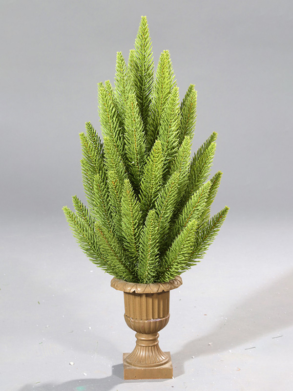 Chậu cây thông Noel 9A3A8791